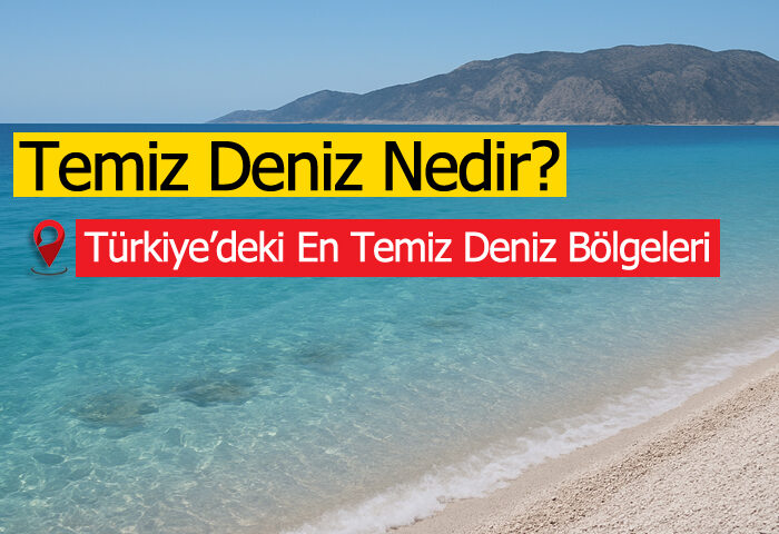 Temiz Deniz Nedir? - Temiz Deniz Nasıl Anlaşılır?