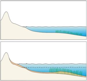 Temiz Deniz Nasıl Anlaşılır? 