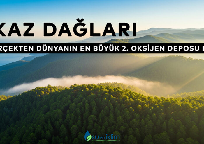 Kaz Dağları Gerçekten Dünyanın En Büyük 2. Oksijen Deposu Mu?