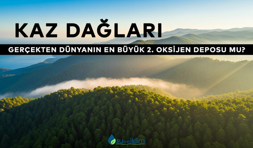 Kaz Dağları Gerçekten Dünyanın En Büyük 2. Oksijen Deposu Mu?