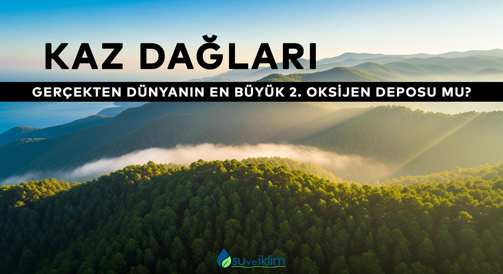 Kaz Dağları Gerçekten Dünyanın En Büyük 2. Oksijen Deposu Mu?